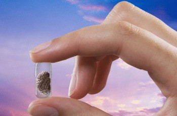 Удивительные способности людей без… мозга