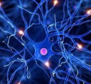 Ученые разрабатывают новый способ лечения аутизма