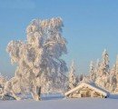 Медики рассказали, о каких проблемах говорит длительный сон