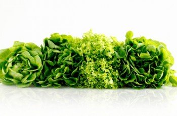 Какие продукты восстанавливают и улучшают работу кишечника